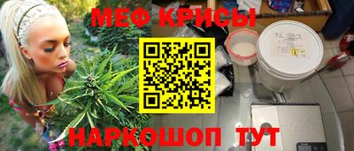амф Камышлов