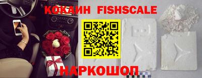 амф Камышлов