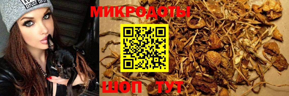 Псилоцибиновые грибы мухоморы Кыштым