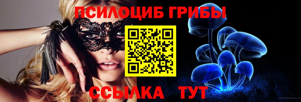 Кыштым  Псилоцибиновые грибы Magic Shrooms  Вход с VPN 